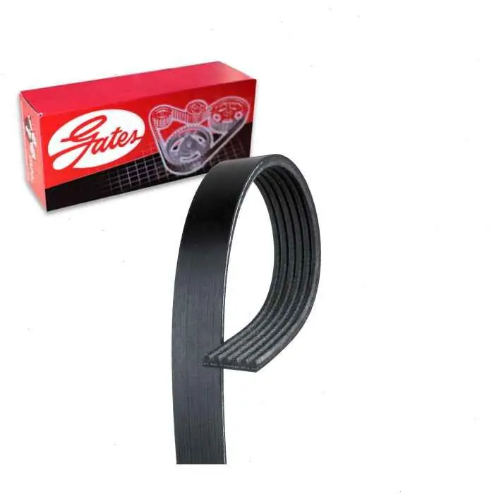 Reduced Price 1993-2002 Ford E-150 Econoline Club Wagon 4.2L 5.8L V6 V8 Gates Micro-V Serpentine Belt - Accessory