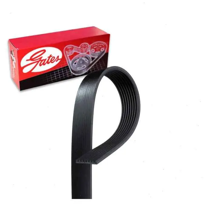 1995-1997 Ford E-350 Econoline Club Wagon 7.3L V8 Gates Micro-V Serpentine Belt - Accessory Drive - Cheap