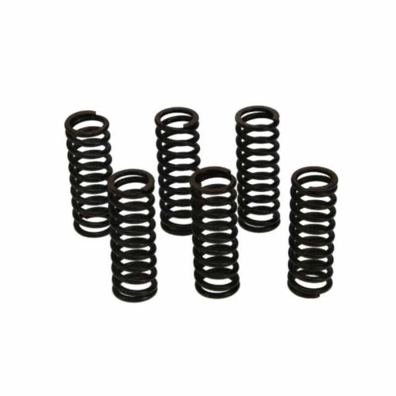 No Minimum Order Wiseco 01-07 Suzuki DR-Z250 Clutch Spring Kit