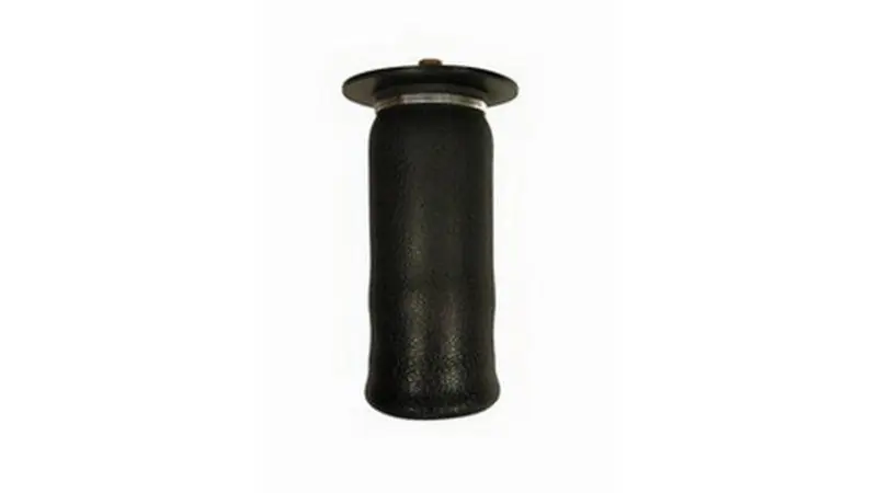 Air Lift 50255 Replacement Air Spring - Sleeve Type Exclusive Offer